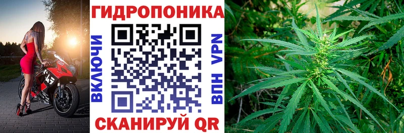Бошки Шишки SATIVA & INDICA  кракен сайт  Бирюсинск  купить наркоту 